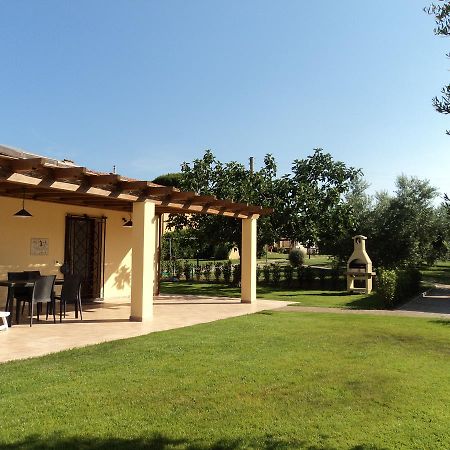 Agriturismo Dallolivo Bolgheri Buitenkant foto