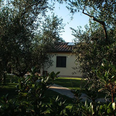 Agriturismo Dallolivo Bolgheri Buitenkant foto
