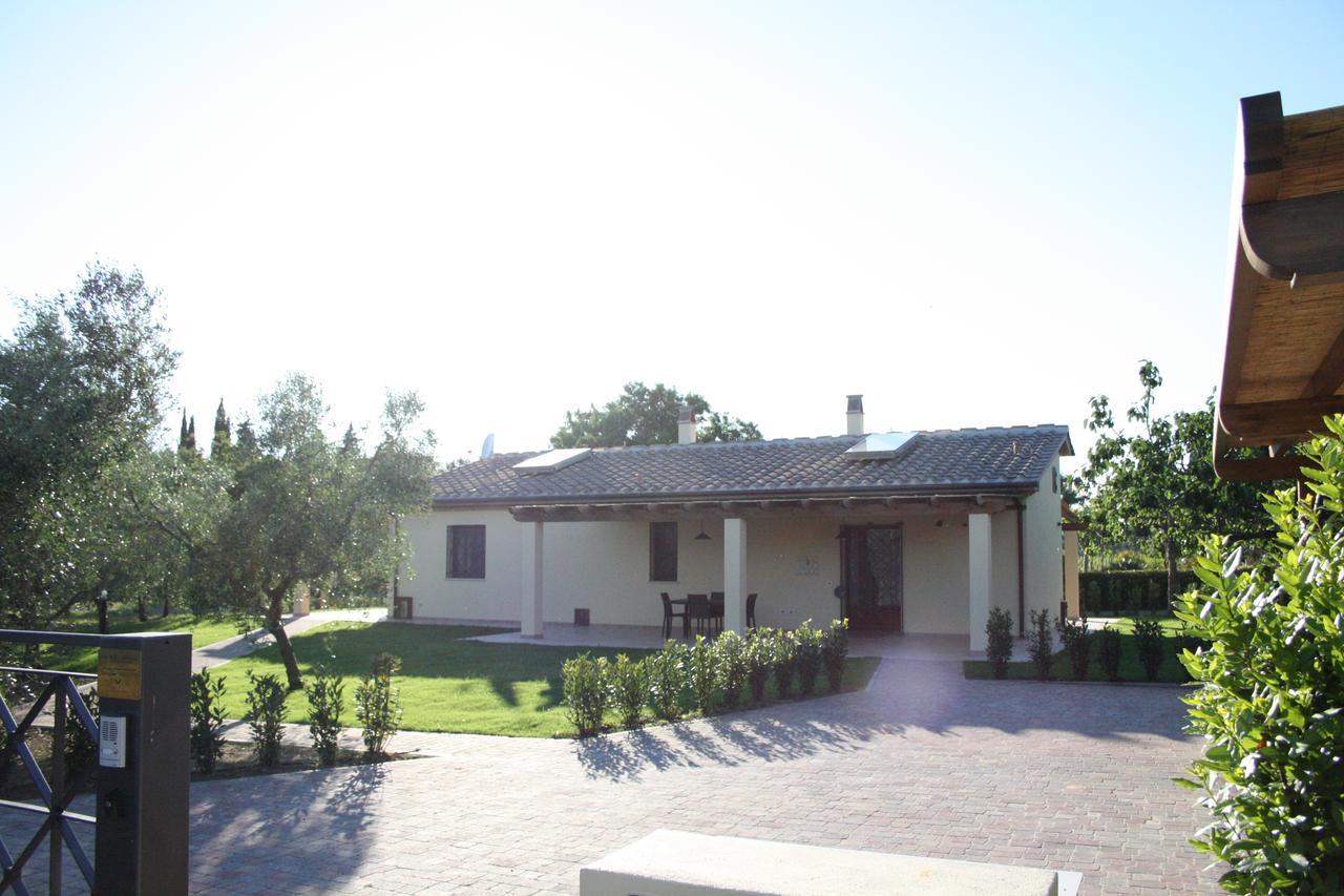 Agriturismo Dallolivo Bolgheri Buitenkant foto