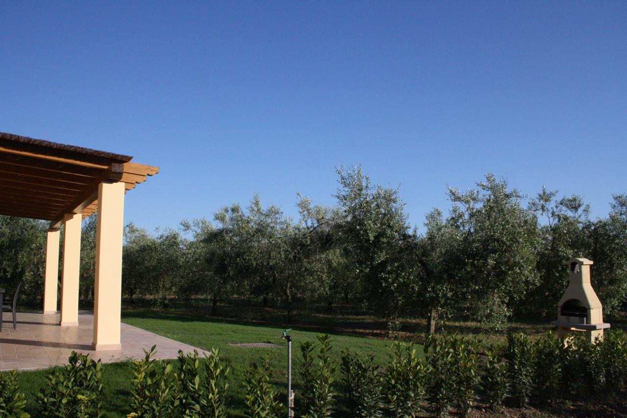 Agriturismo Dallolivo Bolgheri Buitenkant foto