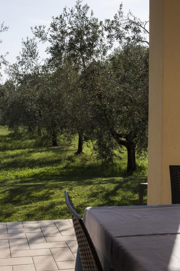 Agriturismo Dallolivo Bolgheri Buitenkant foto