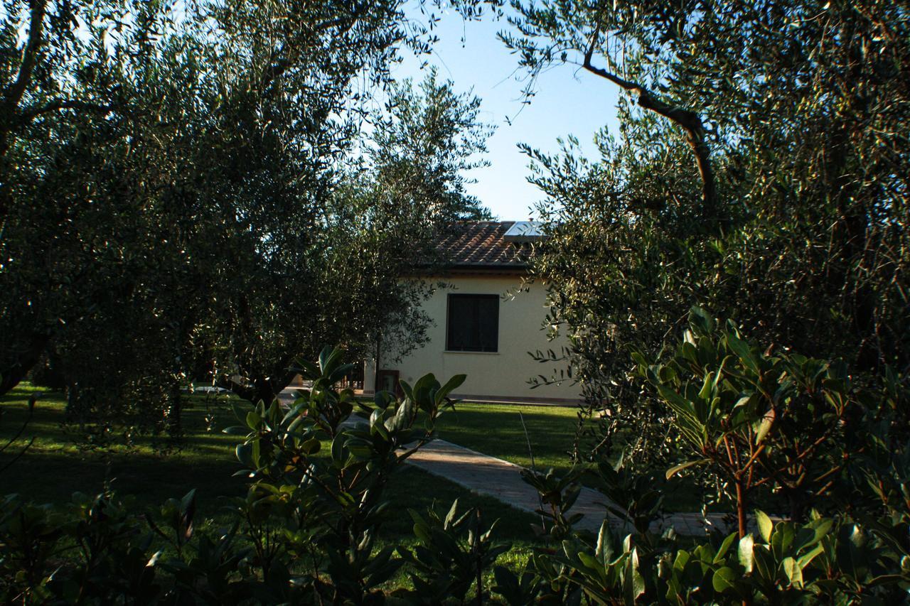 Agriturismo Dallolivo Bolgheri Buitenkant foto