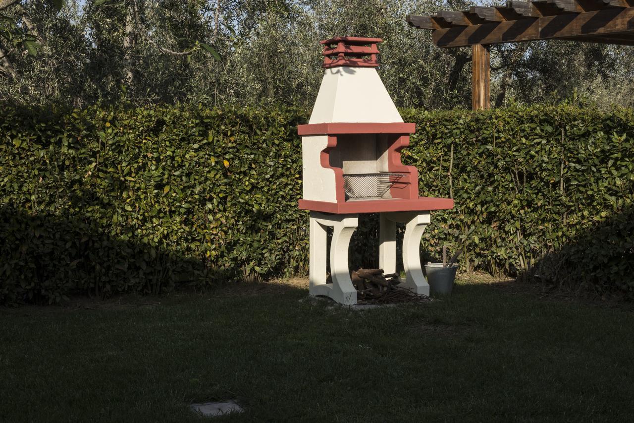 Agriturismo Dallolivo Bolgheri Buitenkant foto